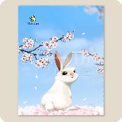 Microfiber Cleaning Cloth