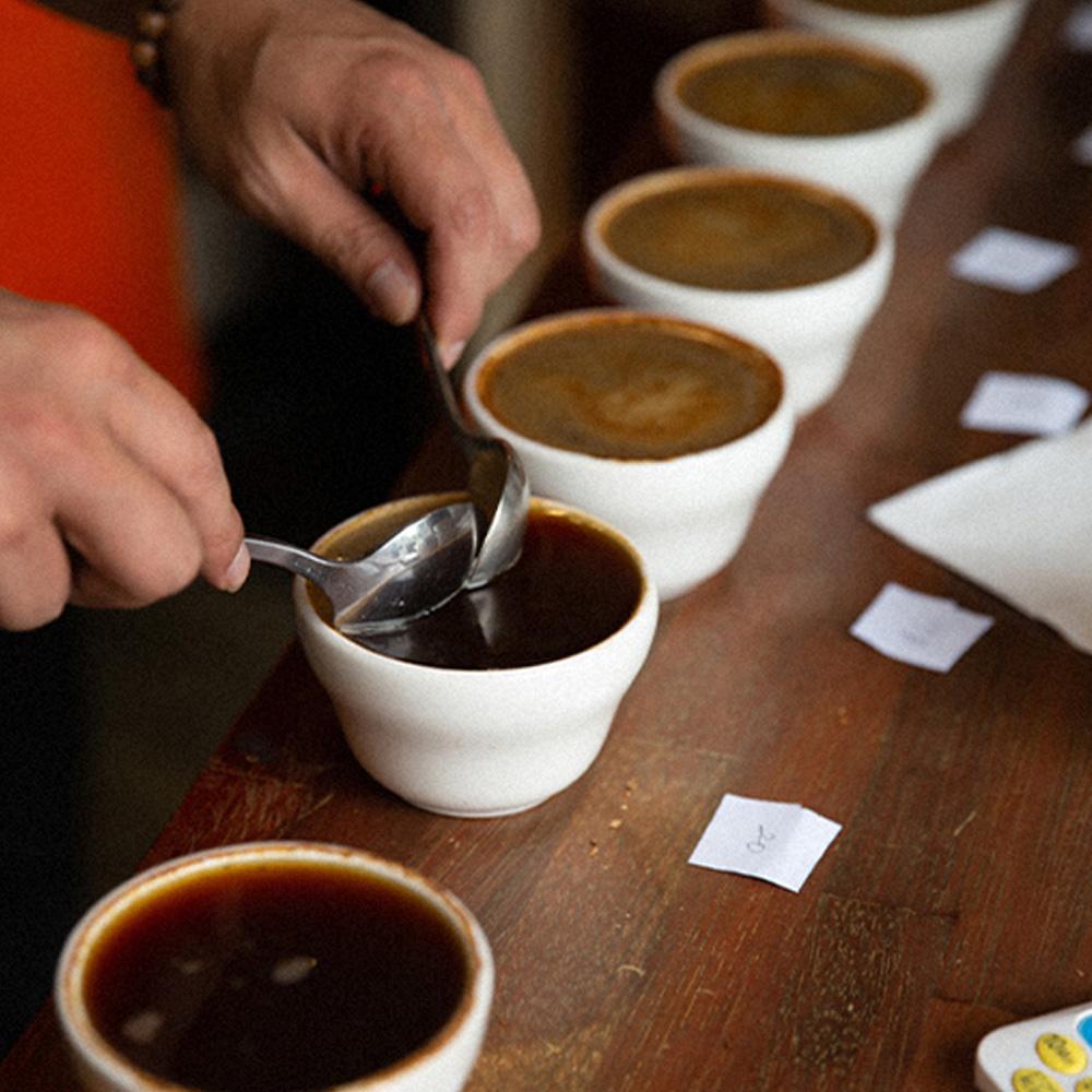 El Café Selection Decaffeine