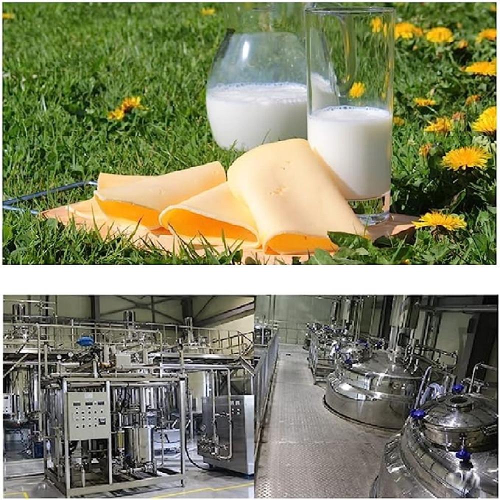 Dr.Holi Pet Daily Cheese Nutrition All Care Supplement(4.58ozX10EA) - Gel&Pouch Type, No Preservativ