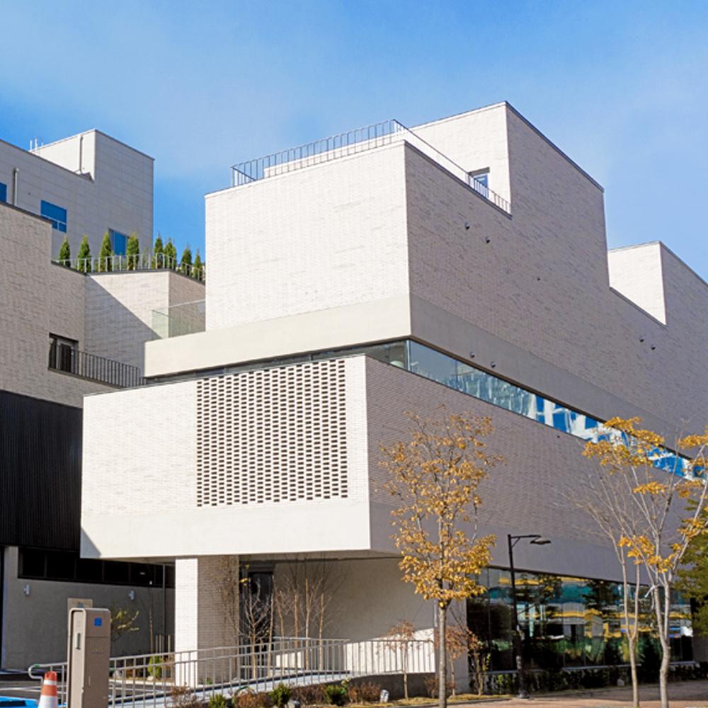 Unique Old White Brick